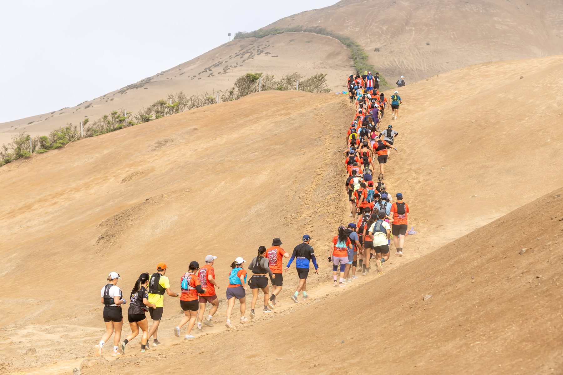 Una fila de corredores sube por un cerro de arena en el Calango Infernal